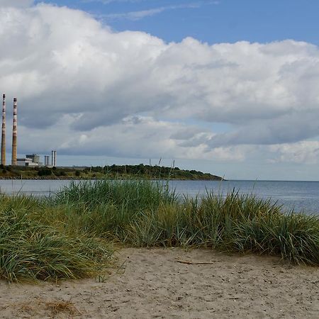 Beach House B&B Dublin Bilik gambar